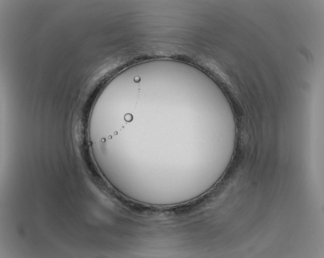 X0000114700683200910211009