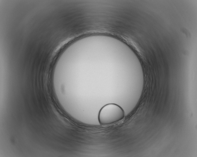 X0000114700684200910211009