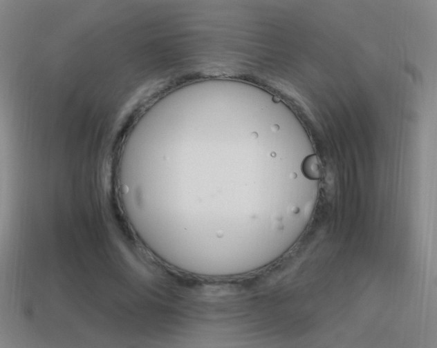 X0000114700686200910211009