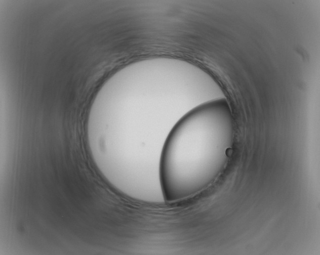 X0000114700689200910211009