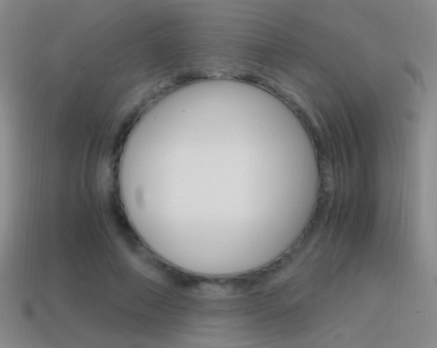 X0000114700690200910211009