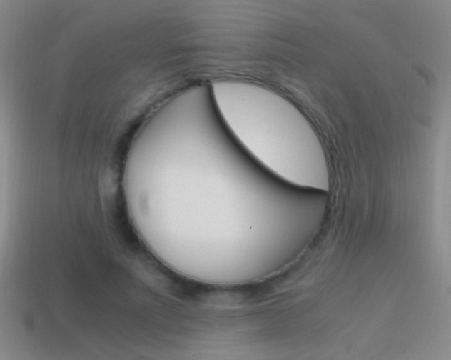 X0000114700691200910211009