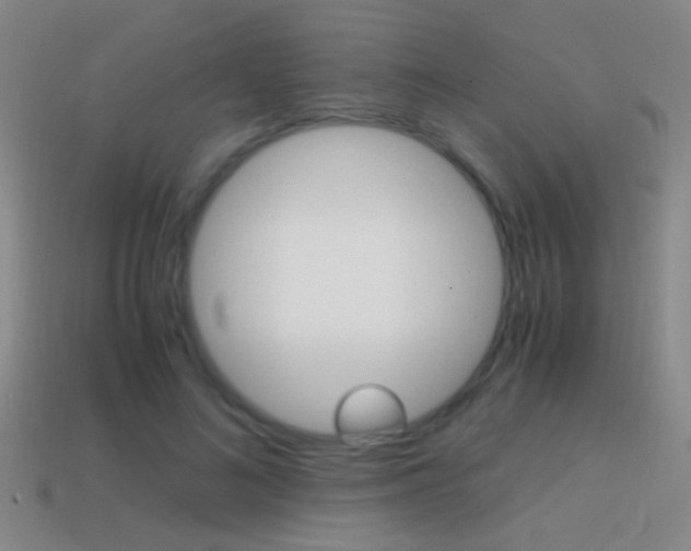 X0000114700692200910211009