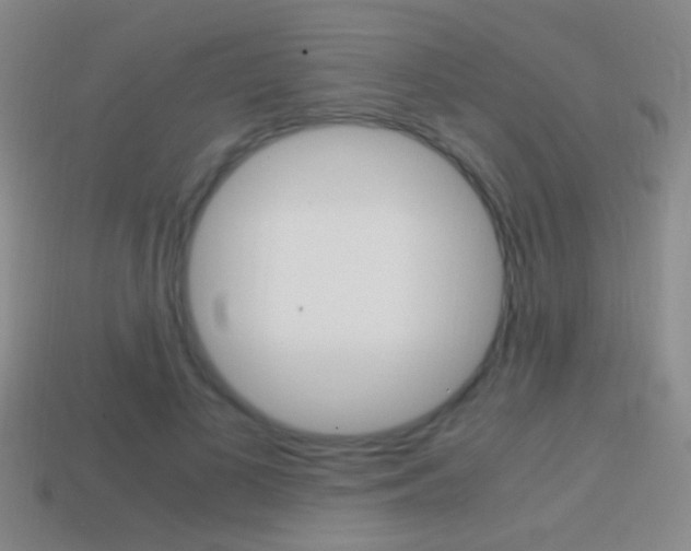 X0000114700693200910211009
