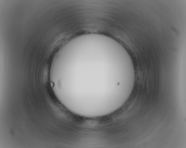 X0000114700694200910211009