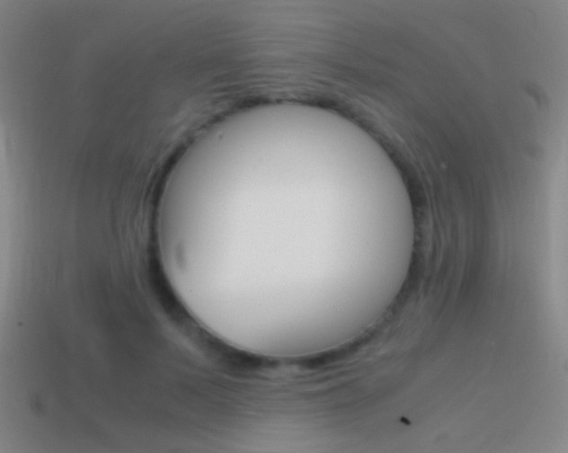 X0000114700695200910211009