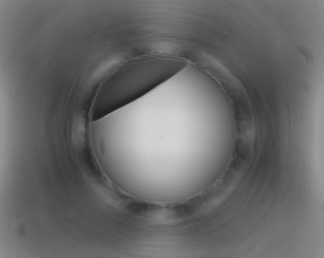 X0000114700696200910211009