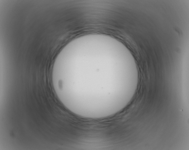X0000114700697200910211009