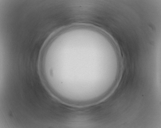 X0000114700701200910211009