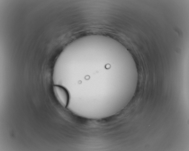 X0000114700703200910211009