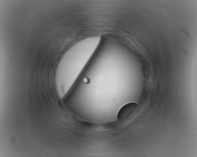 X0000114700704200910211009