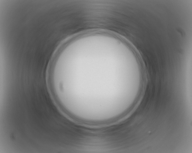 X0000114700705200910211009