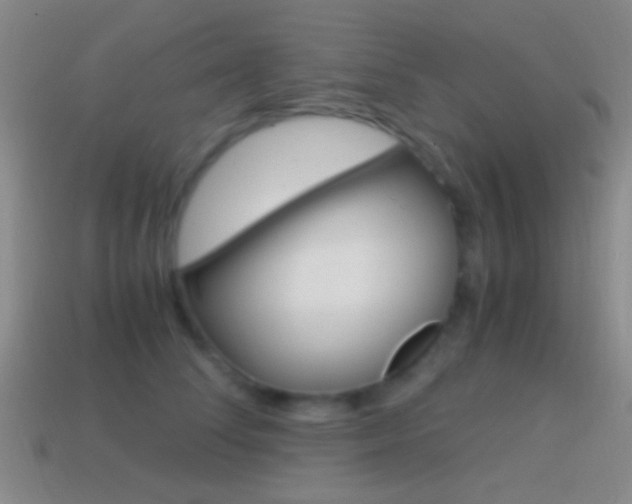 X0000114700708200910211009