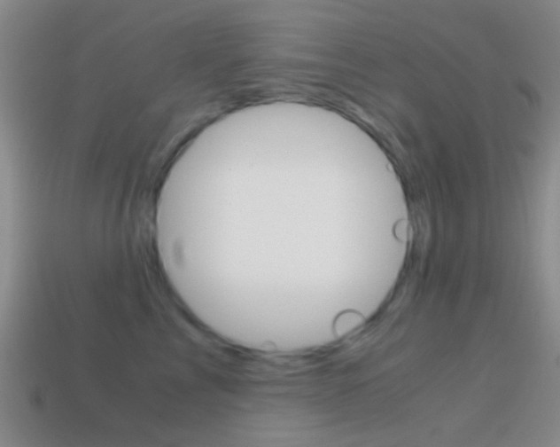 X0000114700713200910211009