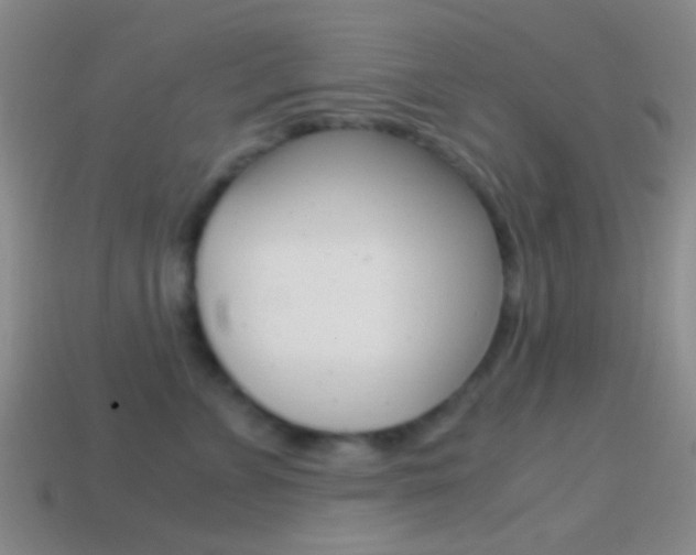 X0000114700715200910211009