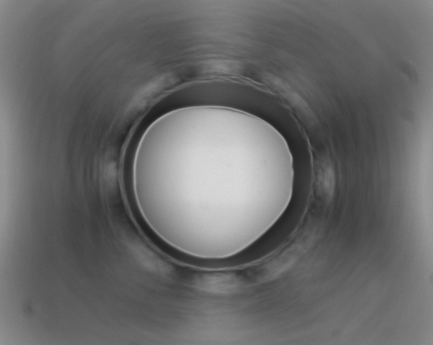 X0000114700716200910211009
