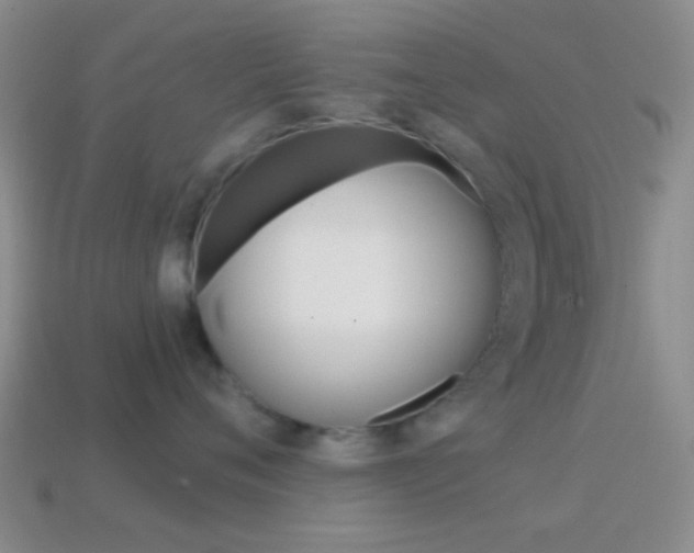 X0000114700720200910211009