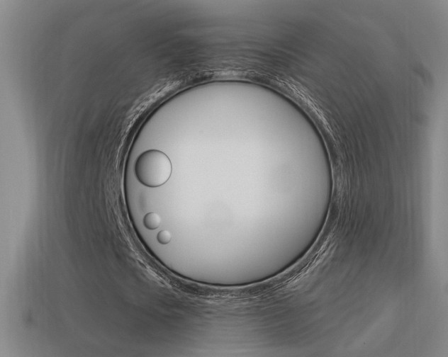 X0000114700721200910211008