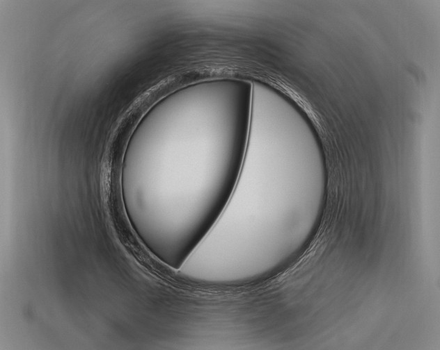 X0000114700722200910211008
