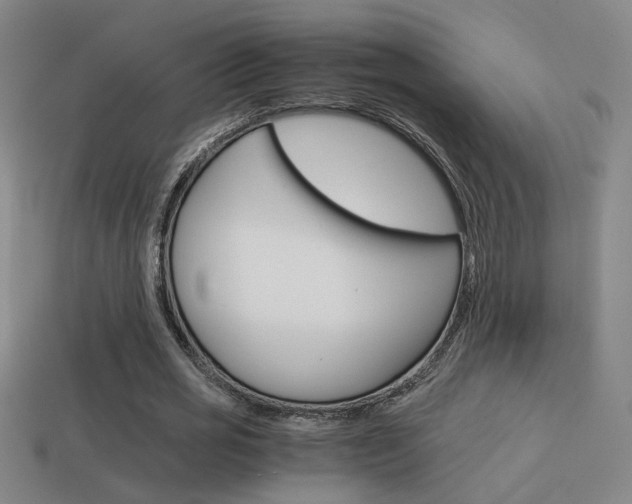 X0000114700725200910211008