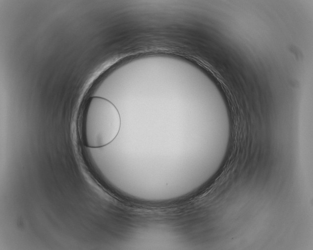 X0000114700726200910211008