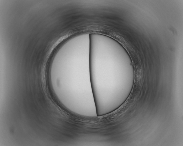 X0000114700727200910211008