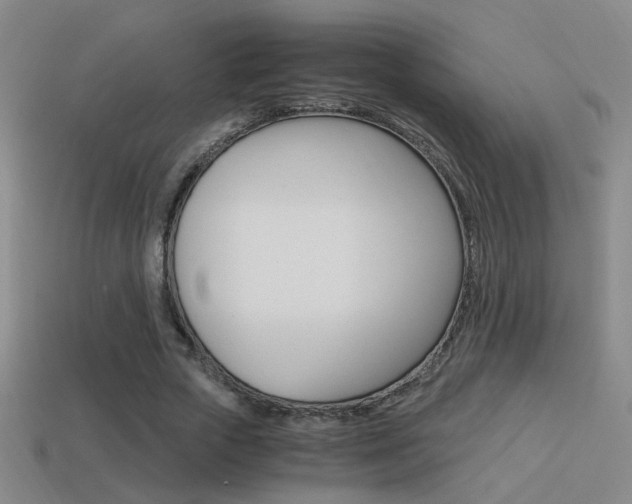 X0000114700729200910211008