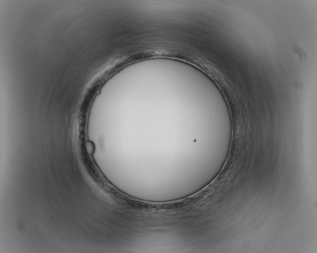X0000114700730200910211008