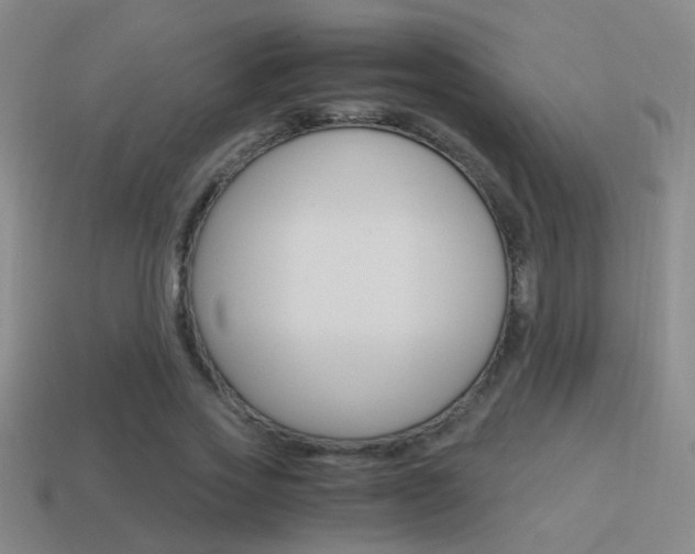 X0000114700733200910211008