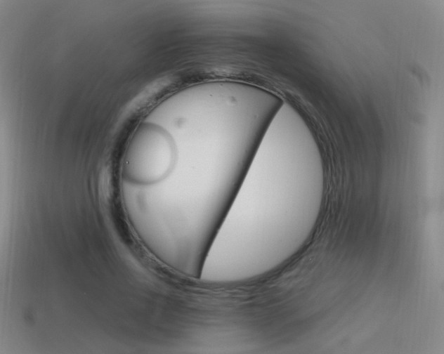 X0000114700734200910211008