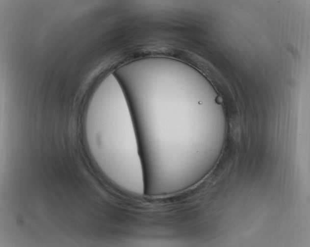 X0000114700735200910211008