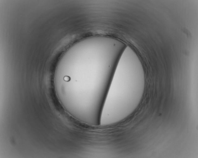 X0000114700738200910211009