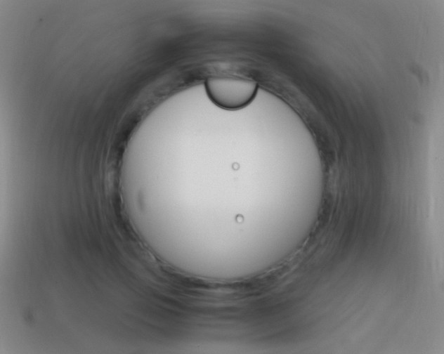 X0000114700741200910211009