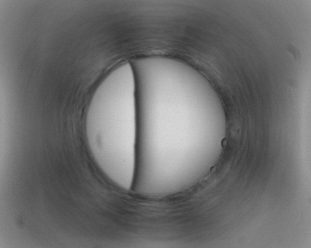 X0000114700743200910211009
