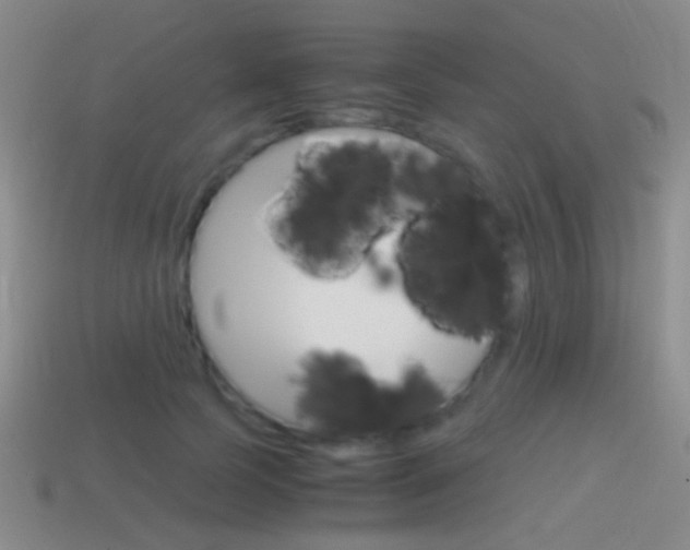 X0000114700745200910211009