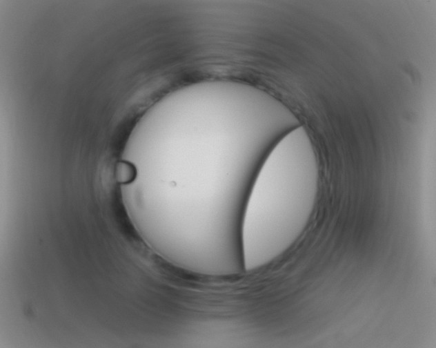 X0000114700746200910211009