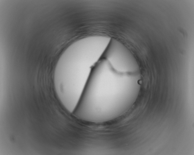 X0000114700747200910211009