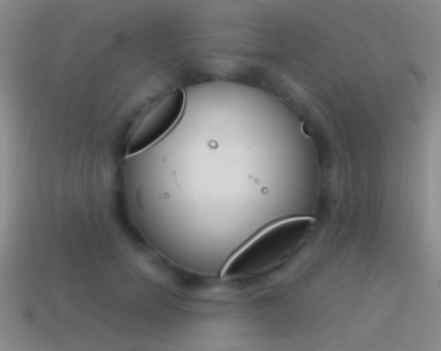 X0000114700750200910211009
