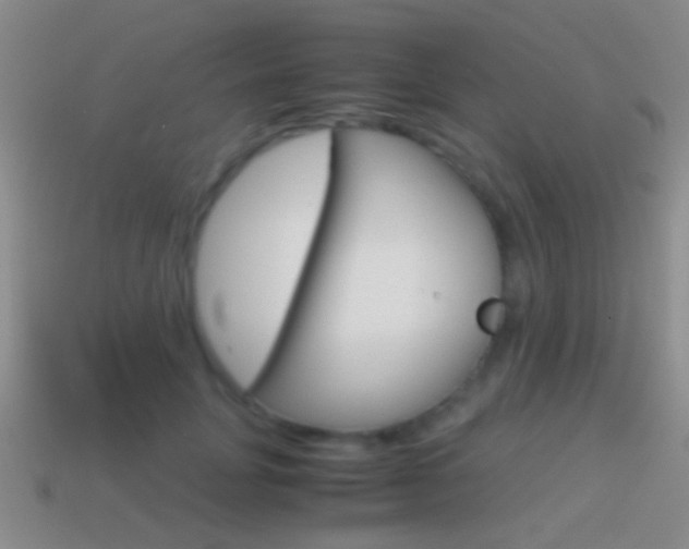 X0000114700751200910211009