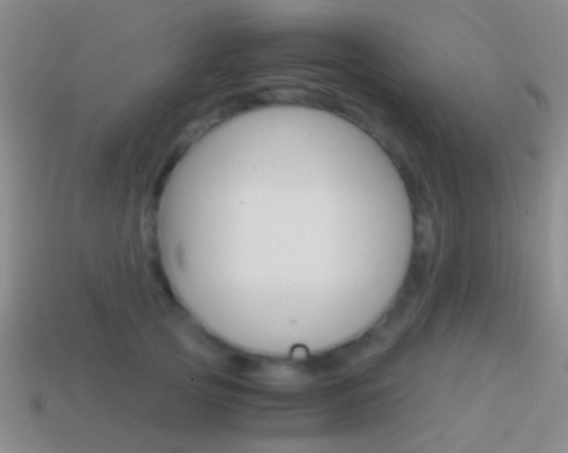 X0000114700753200910211009
