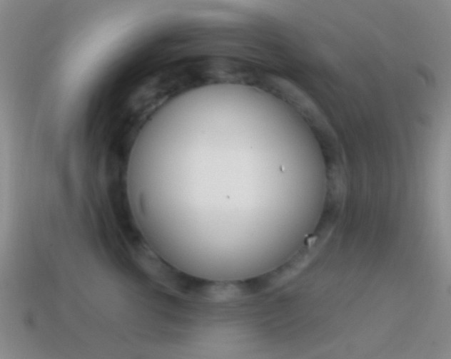 X0000114700762200910211009
