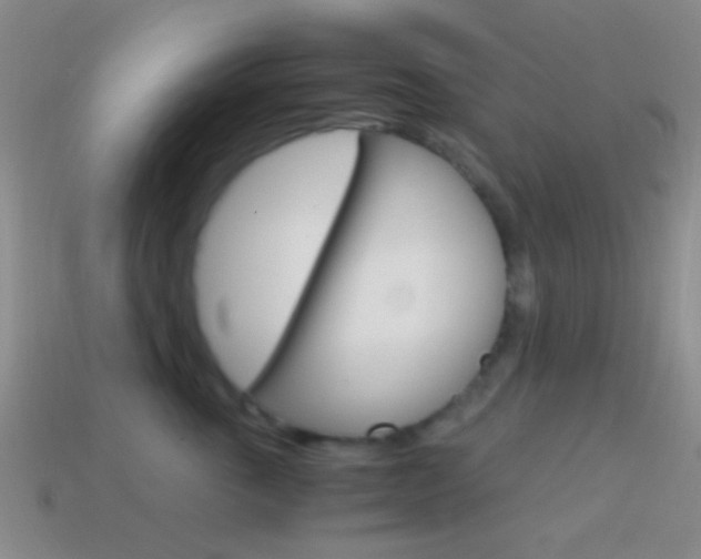 X0000114700763200910211009