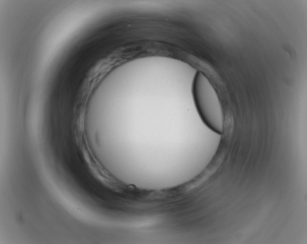 X0000114700765200910211009