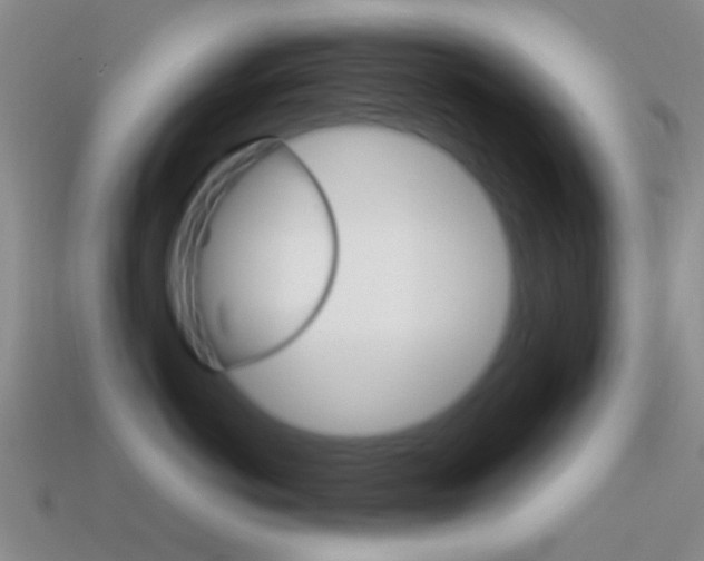 X0000114700766200910211009