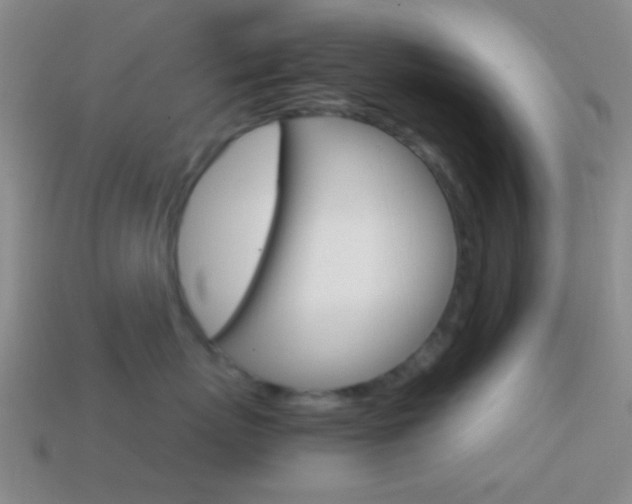 X0000114700767200910211009
