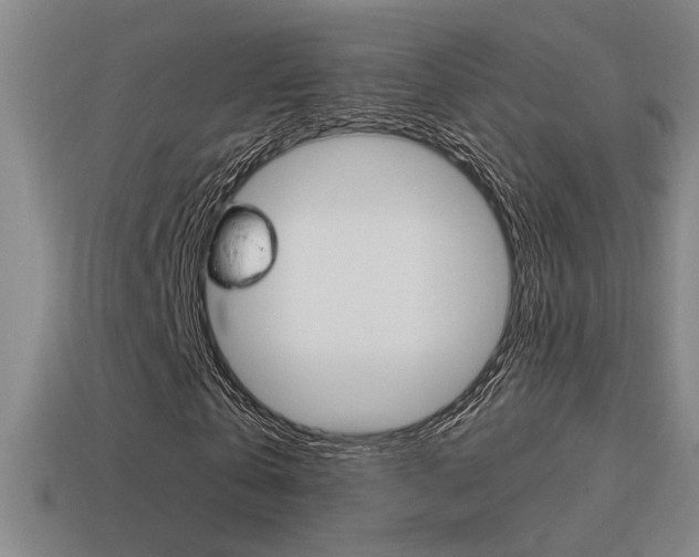 X0000114700769200910211008