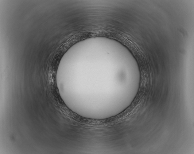 X0000114700770200910211008