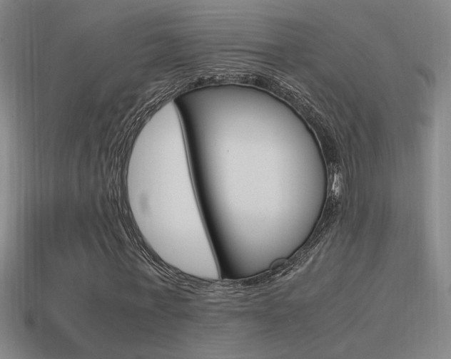 X0000114700771200910211008