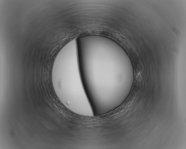 X0000114700772200910211008