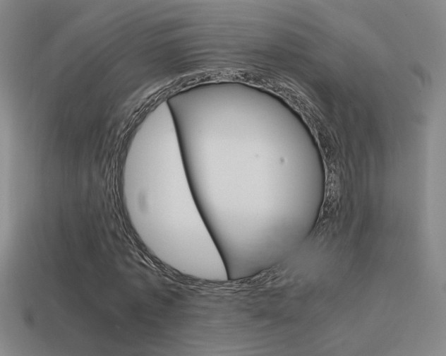 X0000114700773200910211008
